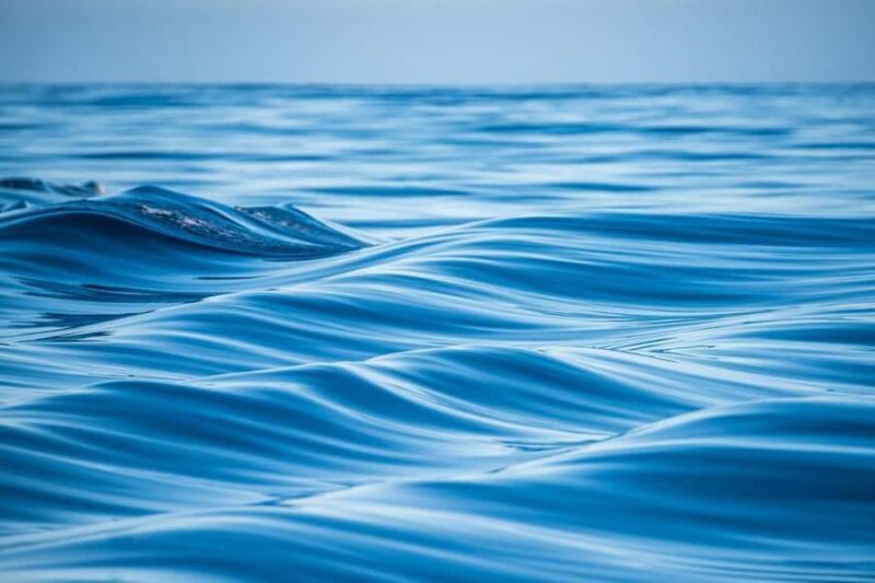 Coral Bay: Half Day Ningaloo Reef Adventure with Manta Rays - The Sum Up