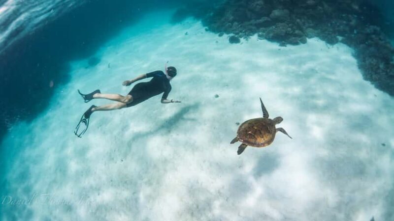 Coral Bay: Ningaloo Reef 3-Hour Turtle Ecotour - An In-Depth Look at the Tour