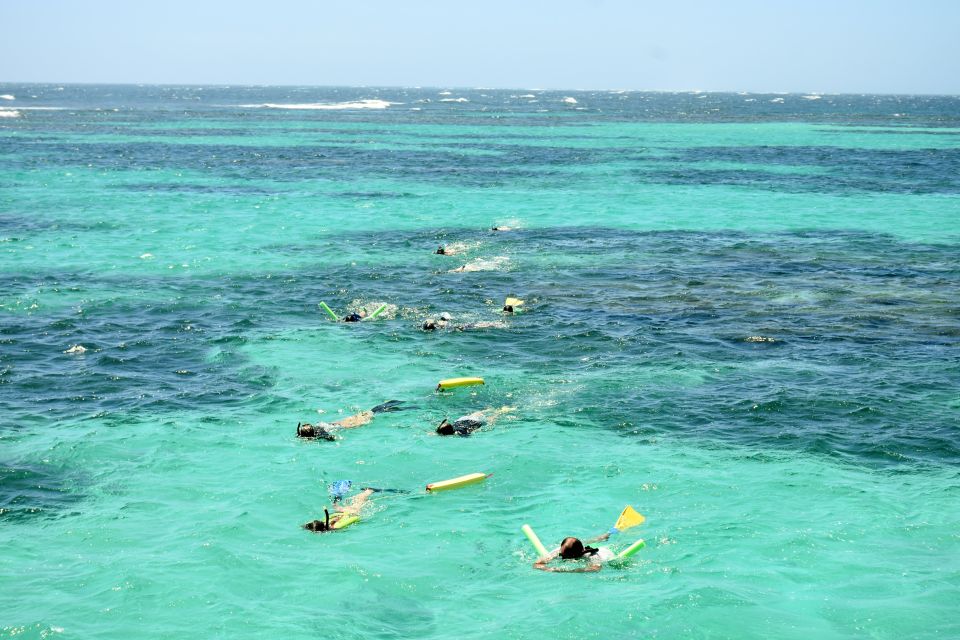 Coral Bay: Ningaloo Reef 3-Hour Turtle Ecotour - Key Points