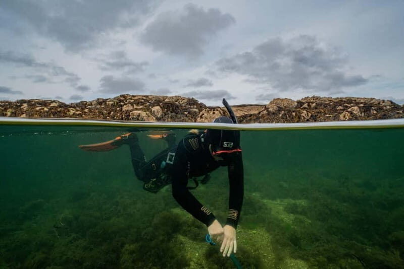 Coral Beach Snorkeling Galway - A Closer Look at the Wild Atlantic Way Snorkeling Experience