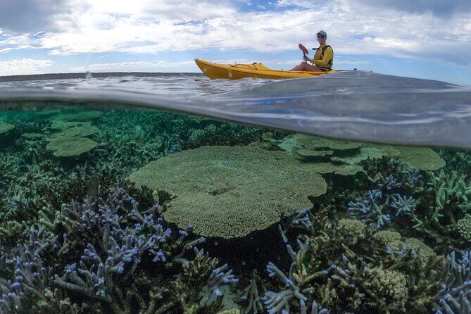 Coral By Kayak - Ningaloo Reef Half Day Kayak & Snorkel Tour - FAQ