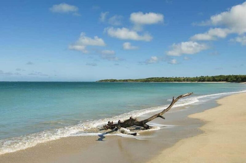 Coral Coast Adventure: Biausevu Waterfall & Natadola Beach - FAQ