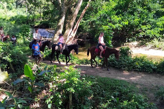 ''Coral Coast Adventure: Biausevu Waterfall & Natadola Beach !'' - The Sum Up