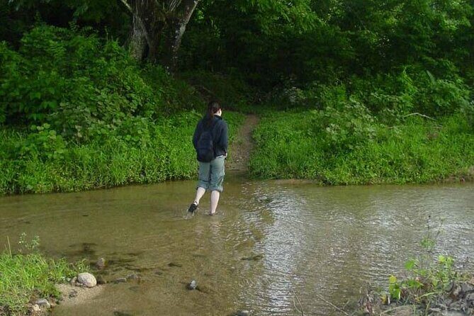 ''Coral Coast Adventure: Biausevu Waterfall & Natadola Beach !'' - FAQ