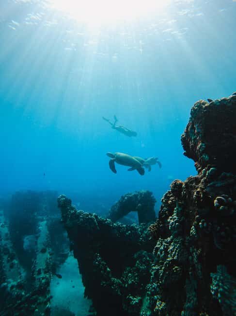 Coral Gardens Coastal Snorkel & Sail - FAQ