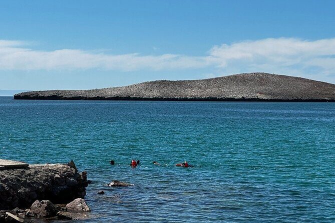 Coral Nursery Snorkeling Eco Adventure in La Paz - FAQ