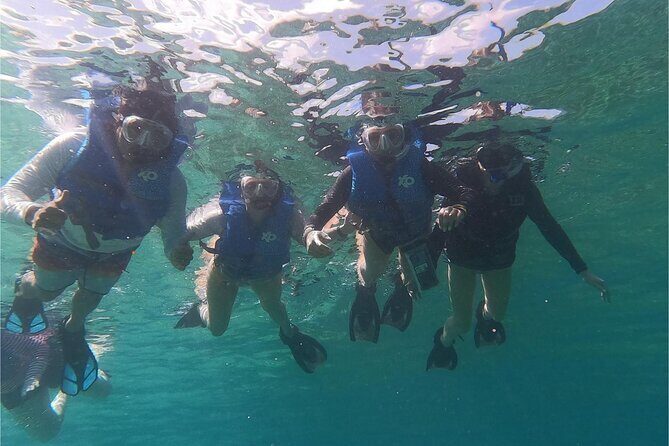 Coral Reef and Sea Turtle Snorkeling Experience - First Stop: Tamarindo Beach for Turtle Watching