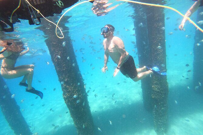 Coral Reef Snorkel Adventure with Photos and Videos - The Bottom Line