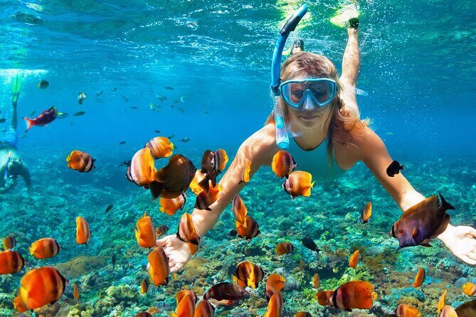 Coral Reef Snorkeling Expedition from Cancun with Beachside Lunch - A Detailed Look at What to Expect