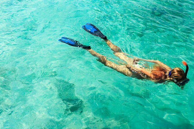 Coral Reef Snorkeling Expedition from Cancun with Beachside Lunch - In Summary