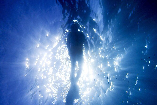 Coral Sea Dreaming Overnight Dive, Snorkel and Sail - An Overview of the Experience