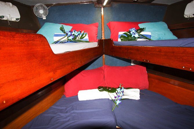 Coral Sea Dreaming Overnight Dive, Snorkel and Sail - Food and Comfort