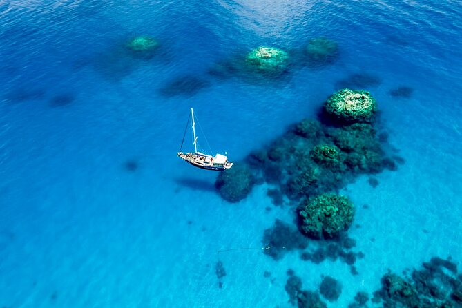 Coral Sea Dreaming: Overnight Dive, Snorkel & Sail From Cairns - Health and Safety Guidelines