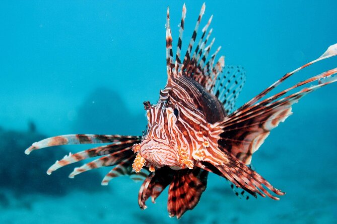 Coral Sea Dreaming: Overnight Dive, Snorkel & Sail From Cairns - Accommodation Options