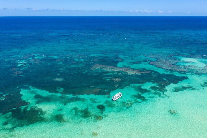 Coral Snorkeling Private Tour in Punta Cana with Seafood Lunch - Exploring the Itinerary in Detail