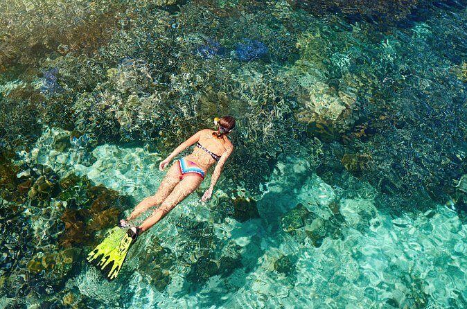 Coral Snorkeling Private Tour in Punta Cana with Seafood Lunch - FAQs