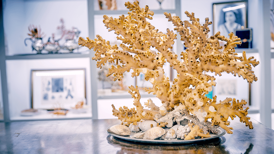 Coral workshop and visit of the museum in Sciacca - Practical Details and Value