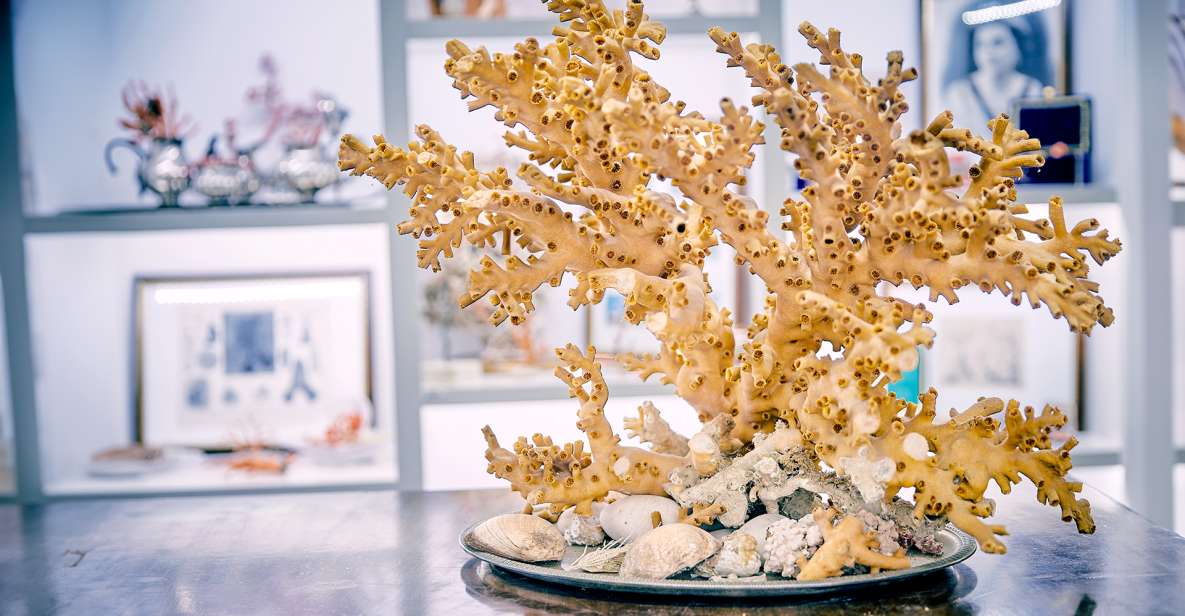 Coral Workshop and Visit of the Museum in Sicacca - Group Size and Cancellation