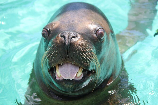 Coral World Ocean Park General Admission Ticket - A Closer Look at the Itinerary