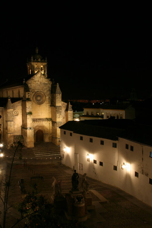 Cordoba at Night by Bike, Electric Bike - Key Points