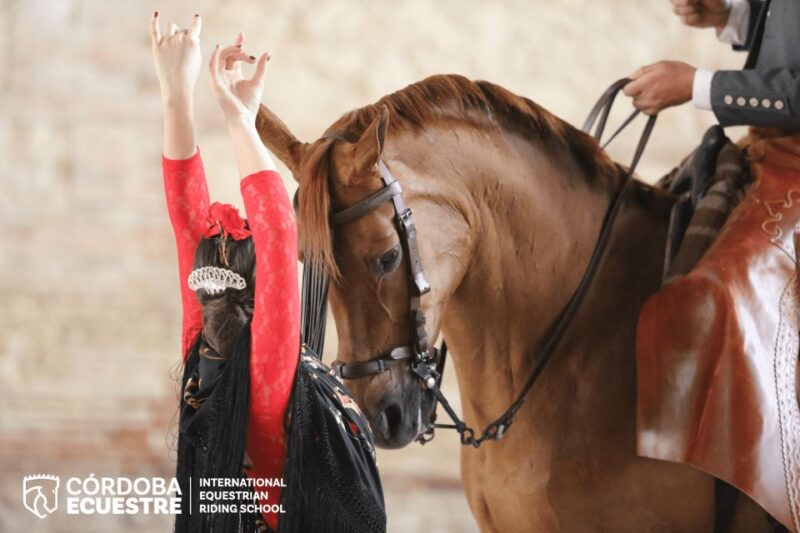 Cordoba: Caballerizas Reales Equestrian Show Entry Ticket - Highlights of the Show