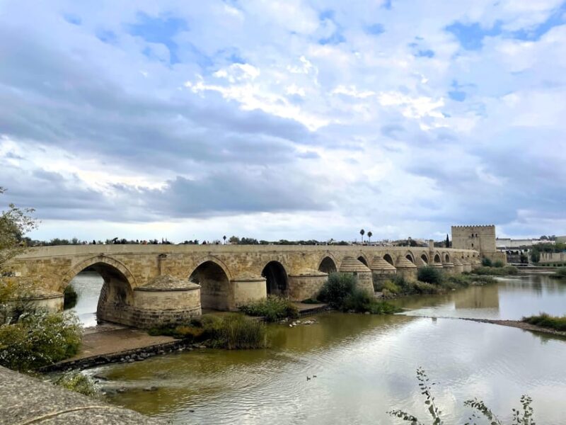 Cordoba: City Highlights Private Walking Tour - Itinerary Highlights