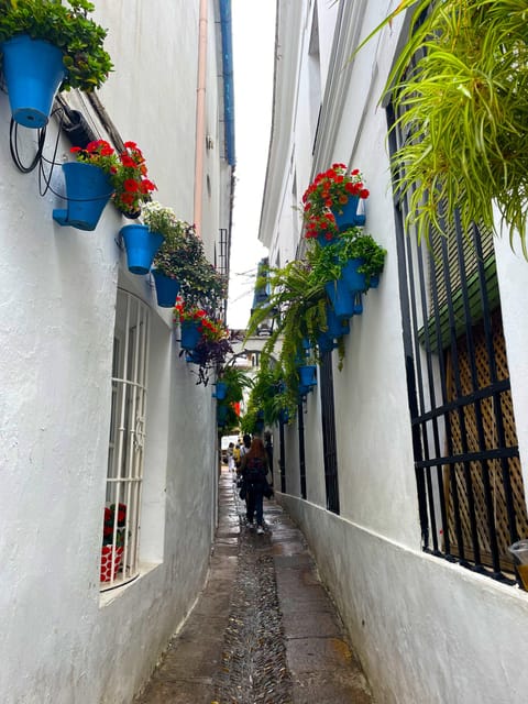 Cordoba: City Highlights Private Walking Tour - Contact Details