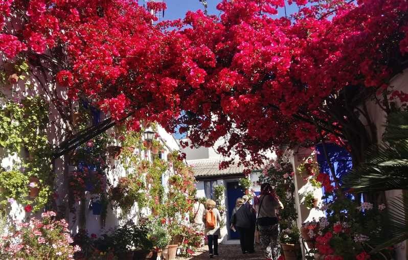 Cordoba Courtyards by Bike, Electric Bike - Key Points