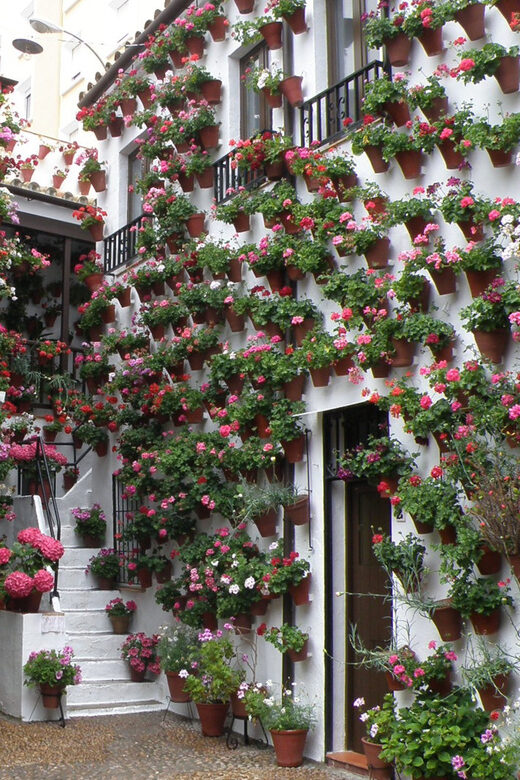 Cordoba Courtyards by Bike, Electric Bike - Final Thoughts: Is It Worth It?