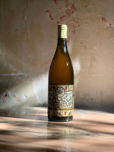 Córdoba: Discover the Soul of Spanish Natural Wine & Cuisine - An Authentic Spanish Wine & Food Journey