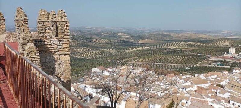 Córdoba: Ducal Castle Guided Walking Tour - Good To Know