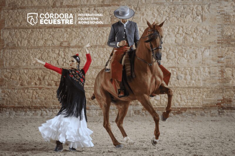 Cordoba: Equestrian Show General Entry - An In-Depth Look at the Experience