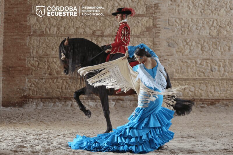 Cordoba: Equestrian Show General Entry - Practical Tips for Visitors