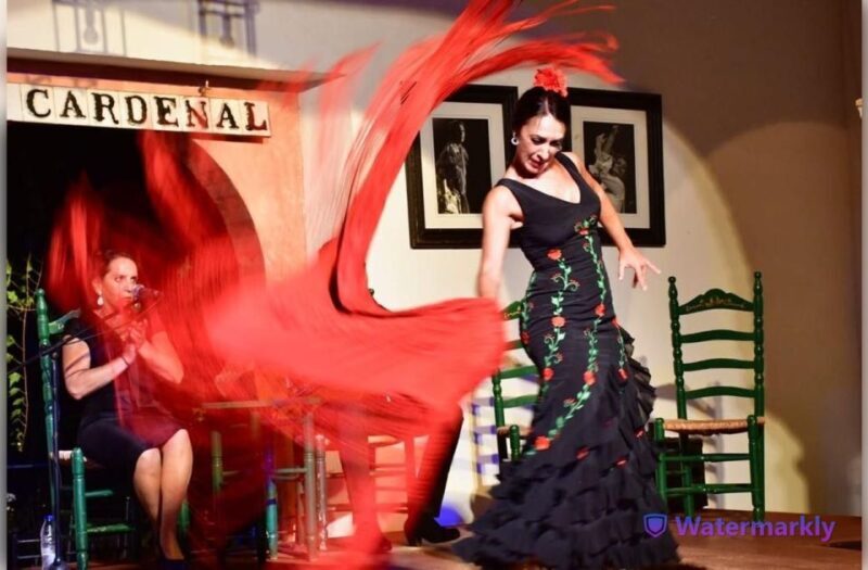 Córdoba: Flamenco Show Ticket with Drinks - An Authentic Flamenco Night in Córdoba