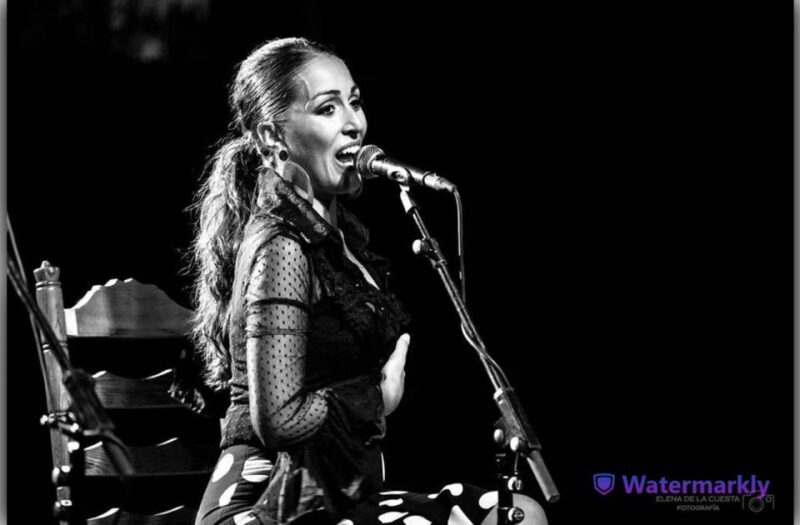 Córdoba: Flamenco Show Ticket with Drinks - Authenticity and Cultural Depth
