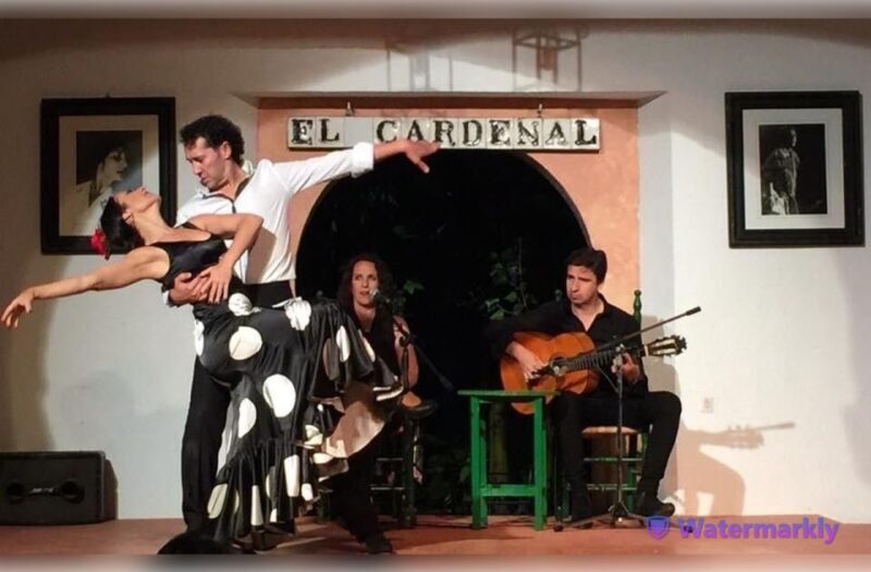 Córdoba: Flamenco Show Ticket with Drinks - Audience Experience and Audience Reviews