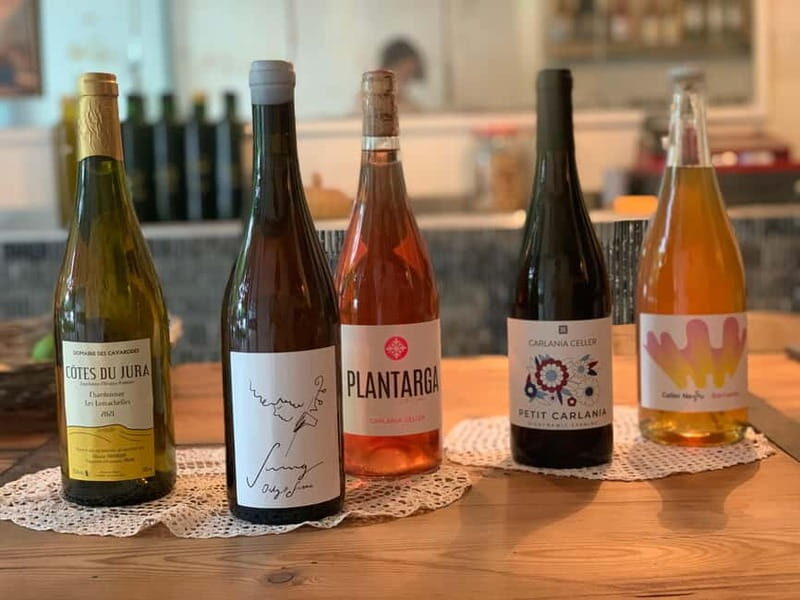 Cordoba: From Vine to Table: A Spanish Wine Experience - Key Points