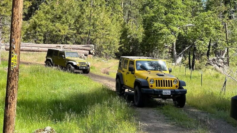 Cordoba: Guided Jeep Tour in Stanislaus National Forest - What to Expect and Practical Details
