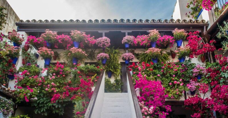 Córdoba: Guided Tour of the Patios - Good To Know