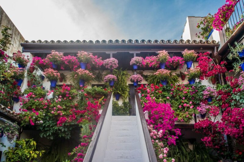 Córdoba: Guided Tour of the Patios - Pricing and Availability