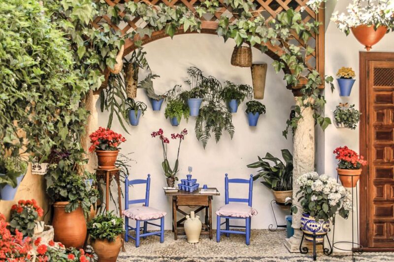 Córdoba: Guided Tour of the Patios - Experience Highlights