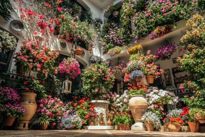 Córdoba: Guided Tour of the Patios - Participant Information