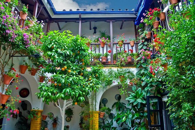 Cordoba Guided Tour with Mosque /Cathedral from Seville - The Value Proposition