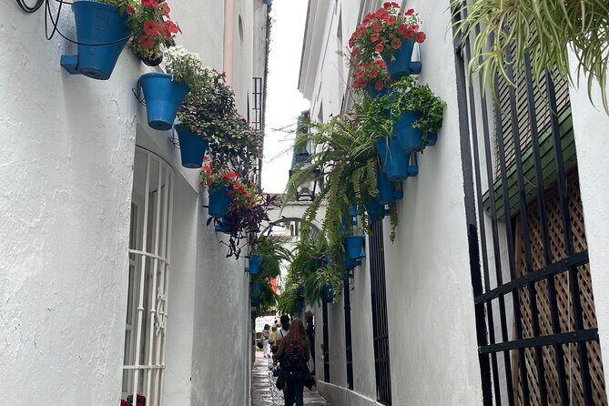 Cordoba Highlights Private Walking Tour - An In-Depth Look at the Córdoba Highlights Private Walking Tour