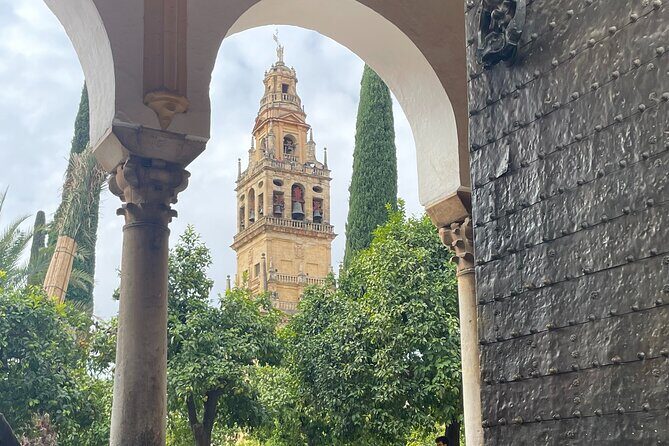 Cordoba Highlights Private Walking Tour - Key Points