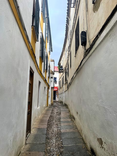Cordoba: Jewish History Private Tour - Additional Notes
