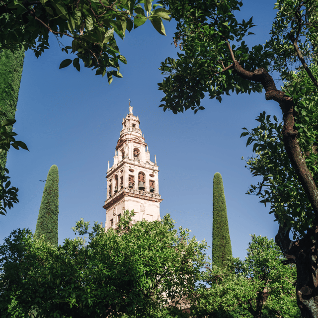Córdoba Monumental From the Costa Del Sol - Customer Feedback and Ratings
