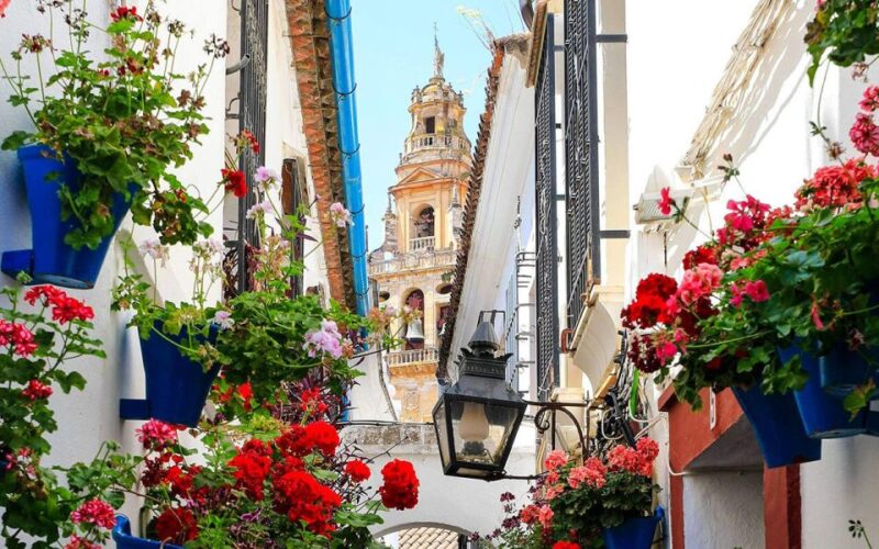 Cordoba: Mosque and Alcazar Private Tour With Tickets - Key Points