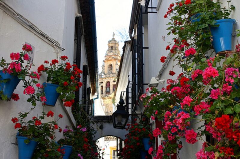 Córdoba: Mosque-Cathedral of Cordoba Private Walking Tour - Key Points