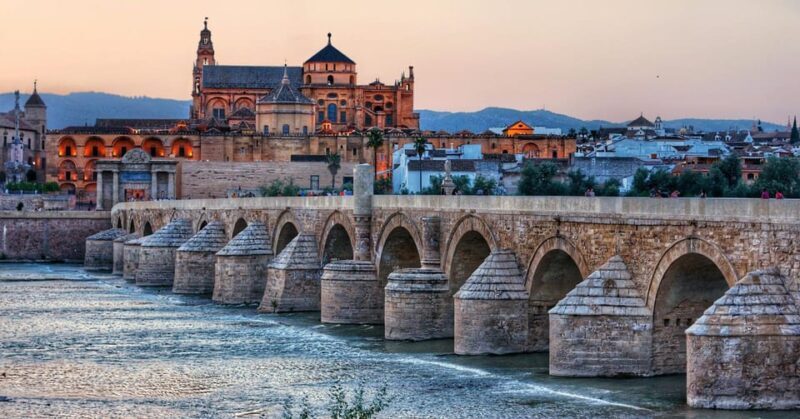 Córdoba: One-Day Trip - Discover local History and Culture - An Overview of the Experience